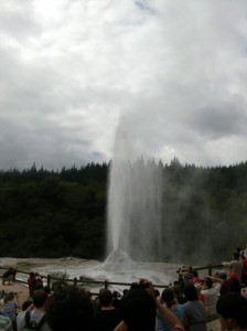 Lady Knox Geyser