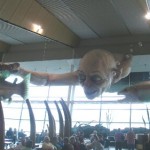 Gollum
