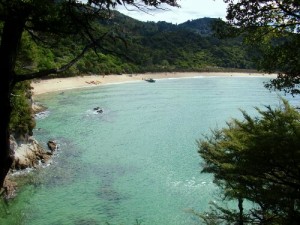 Abel Tasman Coast Track