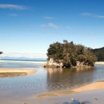 Bark Bay