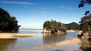 Bark Bay