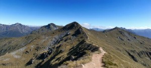 Kepler Track
