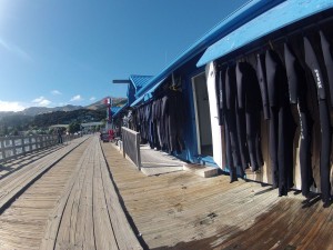 Nage avec les dauphins à Akaroa